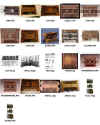 Planche6.jpg (36747 octets)