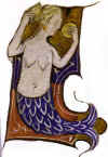 SIRENE.JPG (18455 octets)
